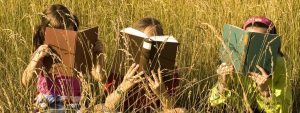 libros