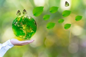 Biodiversidad